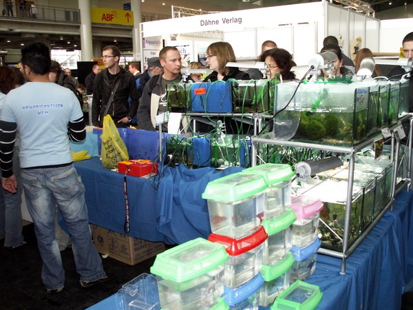 Heimtiermesse 2009   050.jpg